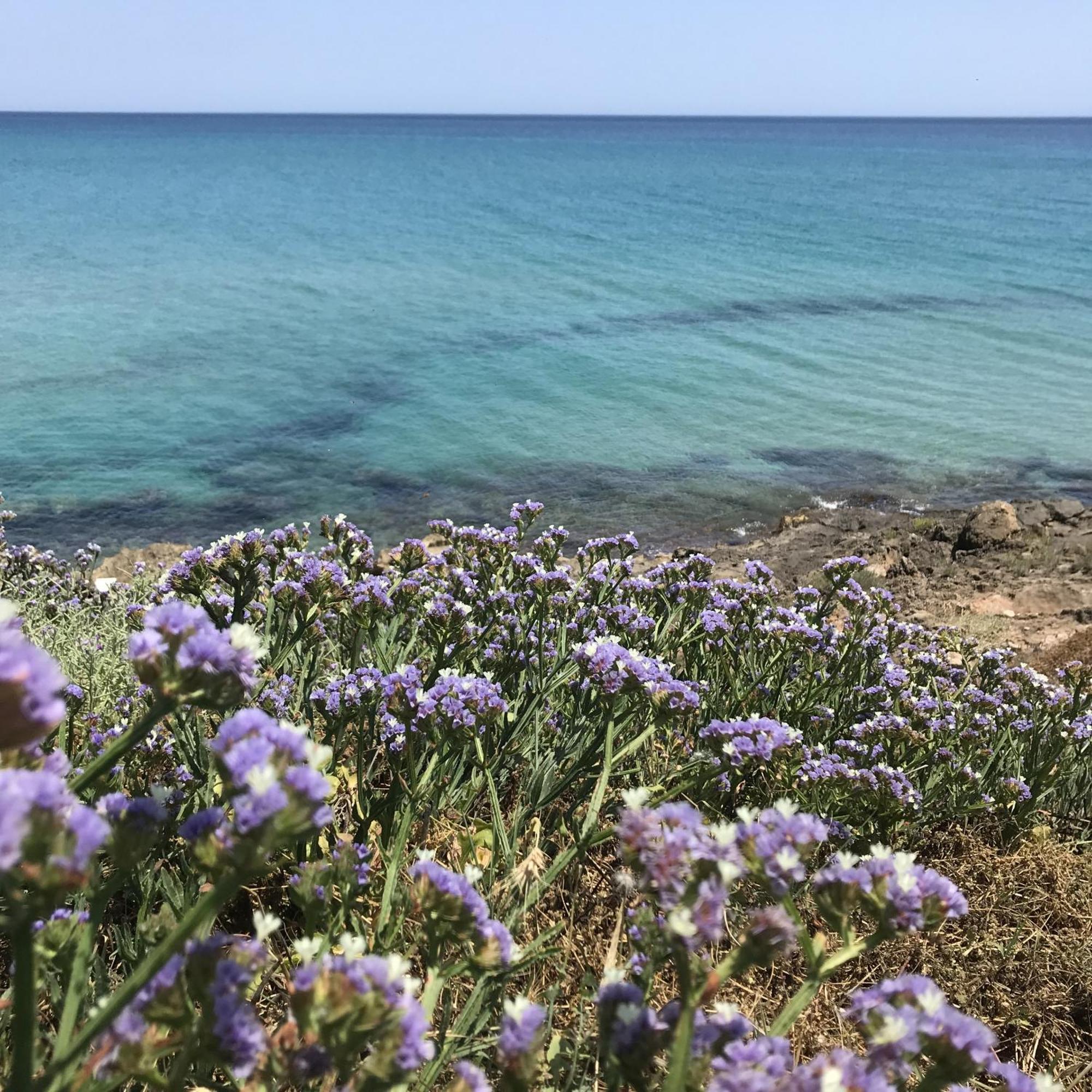 Casapiuholidaysicilia-Adults Only Νότο Εξωτερικό φωτογραφία