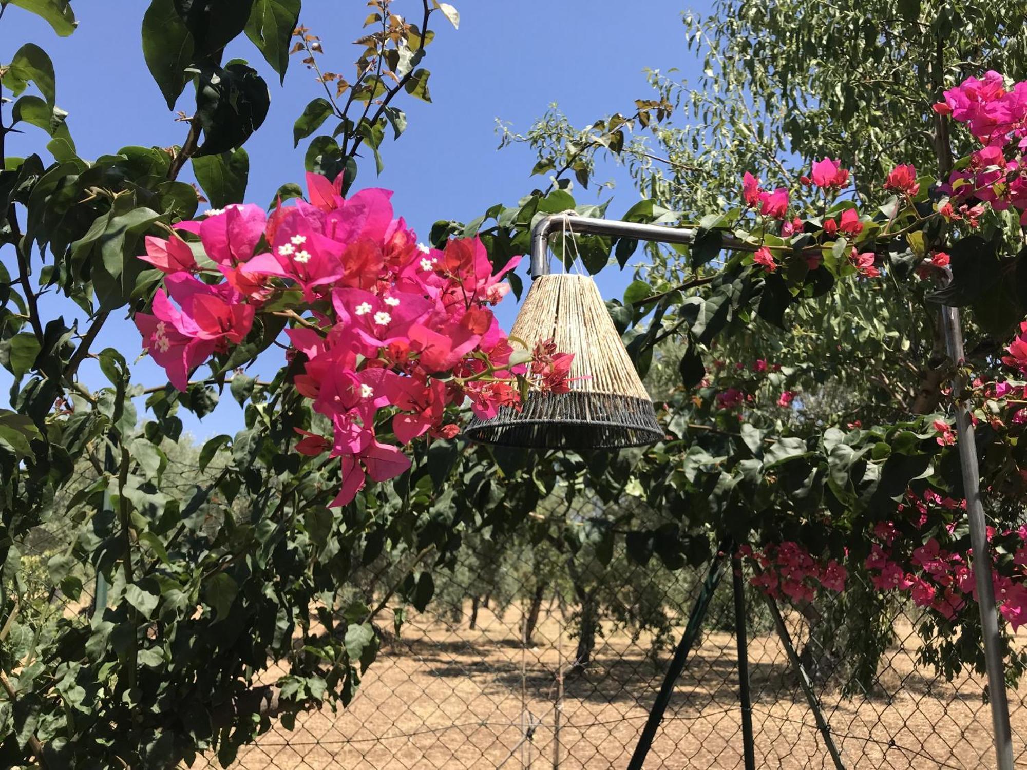 Casapiuholidaysicilia-Adults Only Νότο Δωμάτιο φωτογραφία