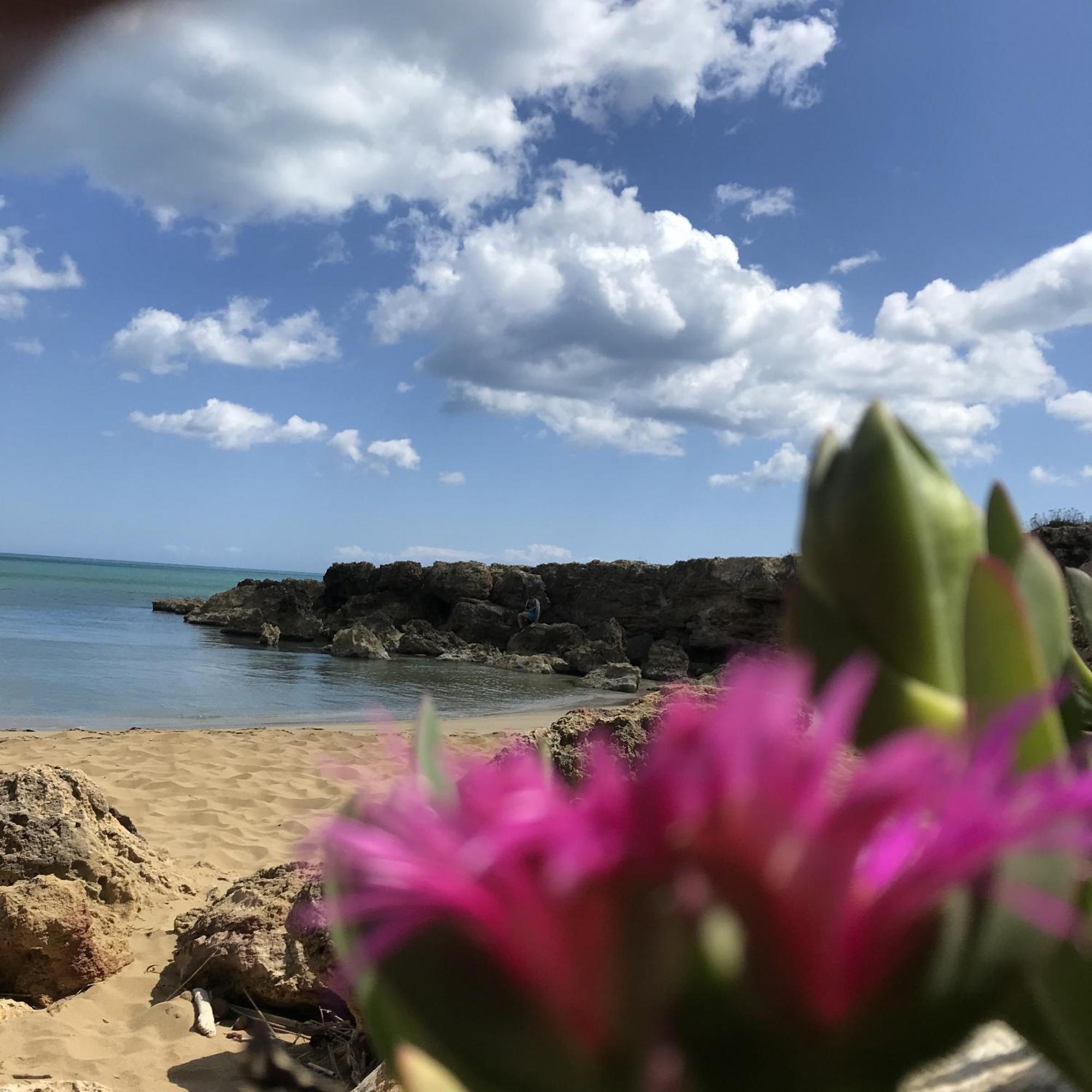 Casapiuholidaysicilia-Adults Only Νότο Εξωτερικό φωτογραφία